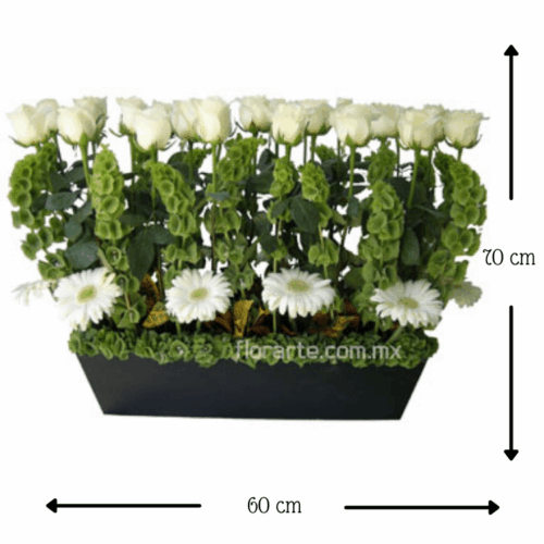 Jardín del Alma Jardín del Alma