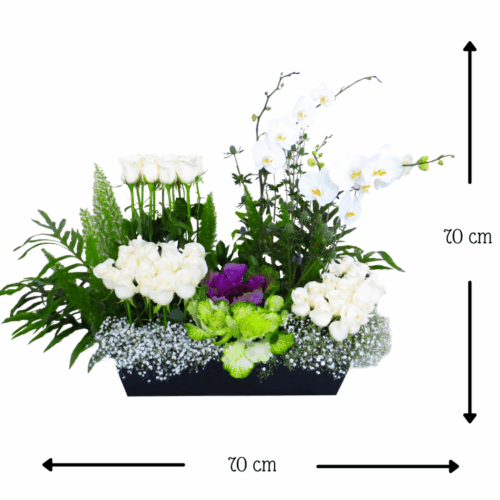 Jardín Excelso Jardín Excelso