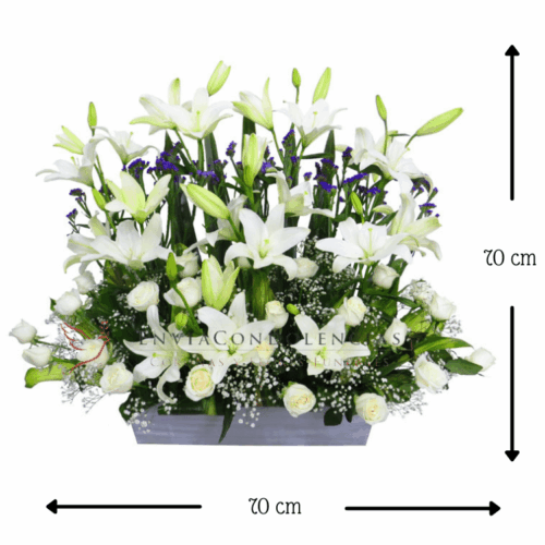 Jardín para el Alma Jardín para el Alma