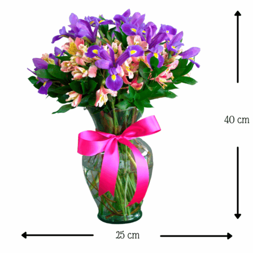 Lindo Amanecer Lindo Amanecer