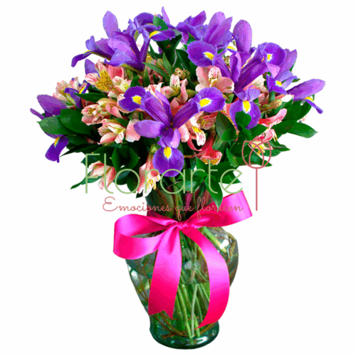 Lindo Amanecer Lindo Amanecer