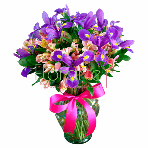 Lindo Amanecer Lindo Amanecer