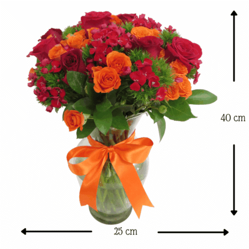 Llueve el Amor Llueve el Amor