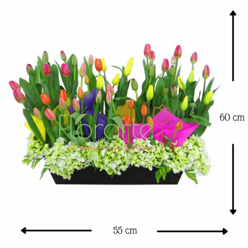 Lluvia Holandesa con Hortensias Lluvia Holandesa con Hortensias