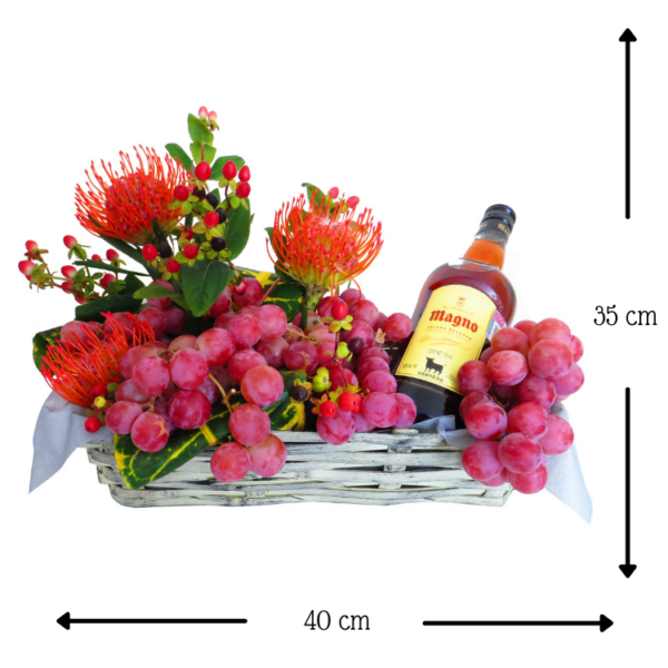 Magno Proteas y Uvas