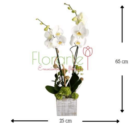 Marila Bello Suspiro