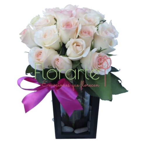 Babel Miranda Babel Miranda