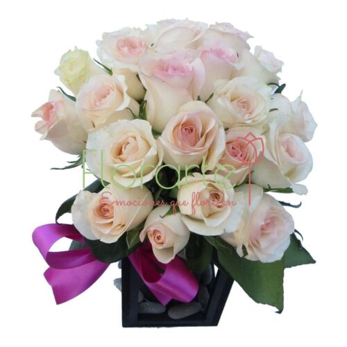 Babel Miranda Babel Miranda