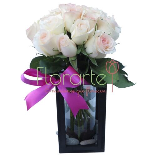 Babel Miranda Babel Miranda