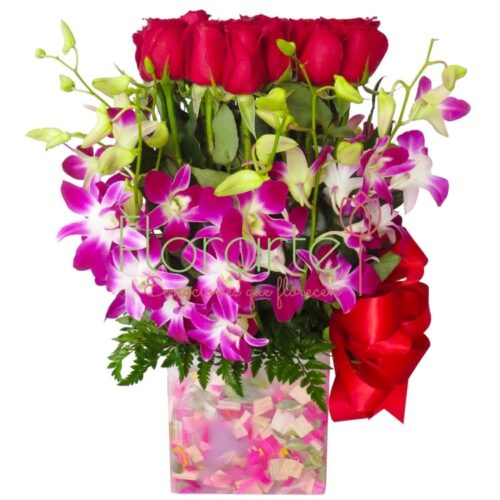 Abrazo de Orquídeas