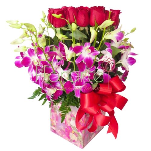 Abrazo de Orquídeas