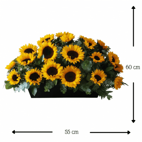 Paisaje de Girasoles