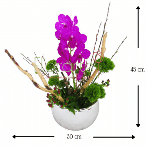 Pekin Orquídea Vanda y Green