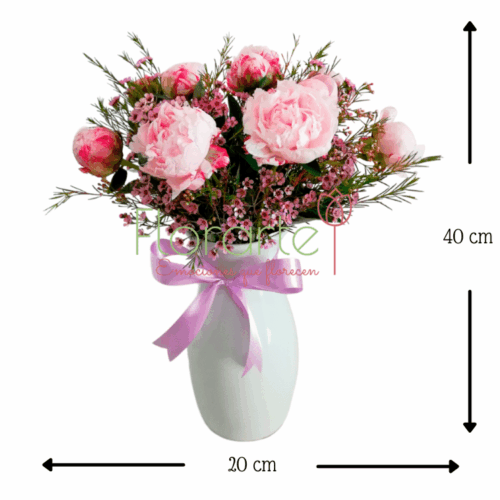 Peonias Mary Clare Peonias Mary Clare