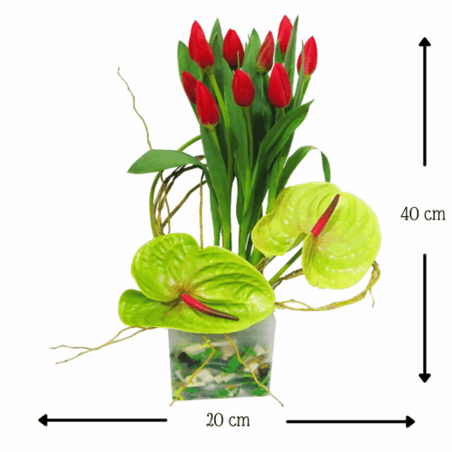 Florencia Anturios y Tulipanes