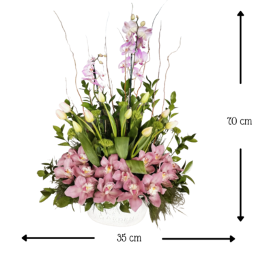 Reina de Besos y Orquídeas