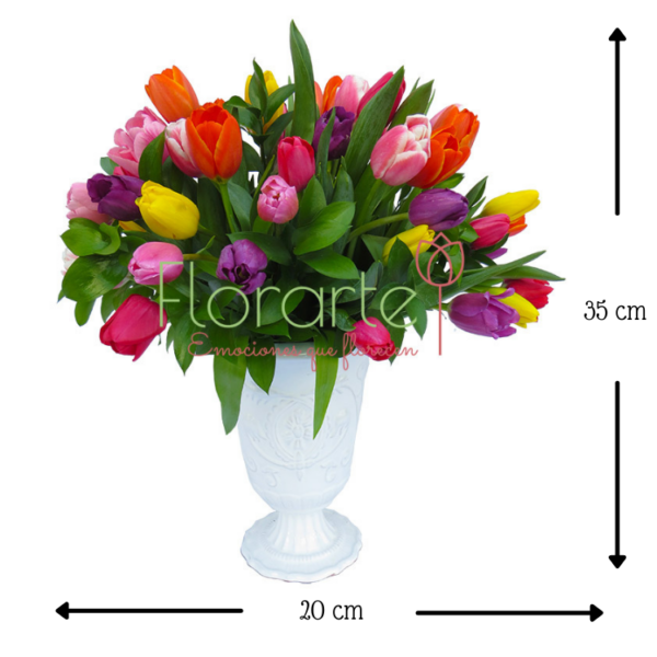 Reina de Tulipanes