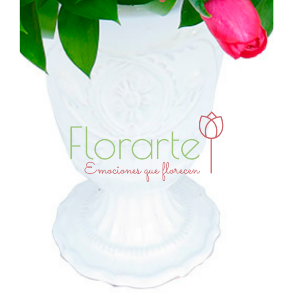 Reina de Tulipanes