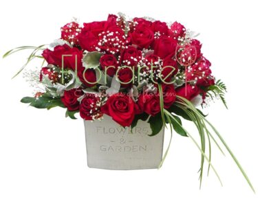 Arreglo Rosal Miller