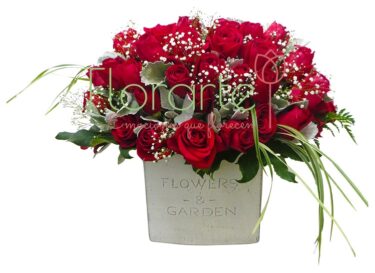 Arreglo Rosal Miller