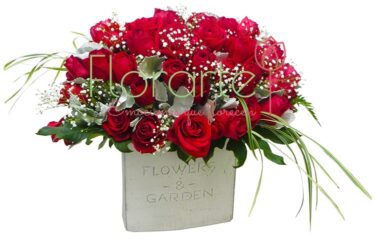 Arreglo Rosal Miller