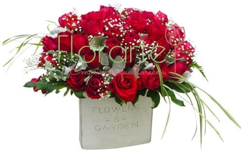 Arreglo Rosal Miller