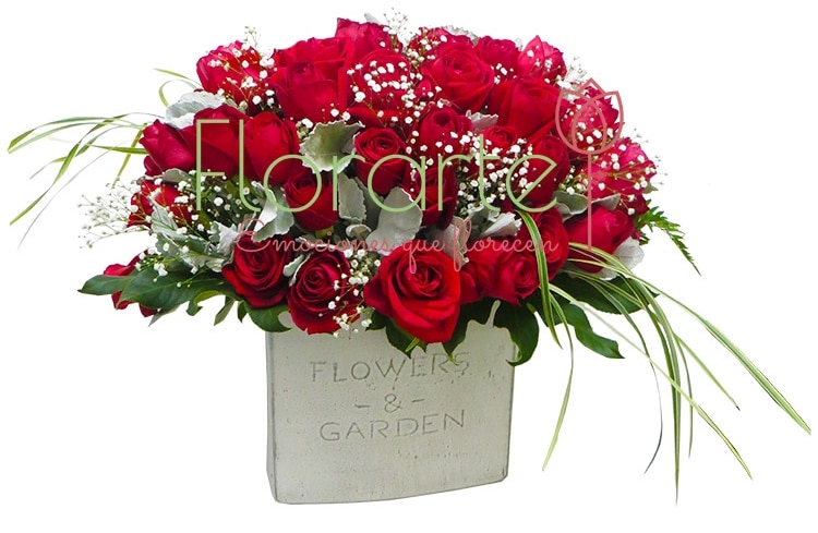 Arreglo Rosal Miller