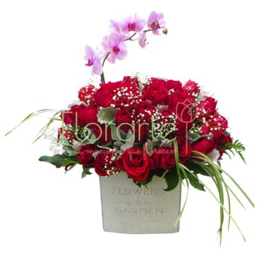 Rosal y Orquídeas