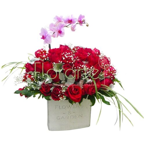 Rosal y Orquídeas