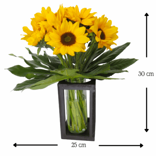 Soles de Babel Soles de Babel