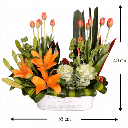 Suspirar de Alegría