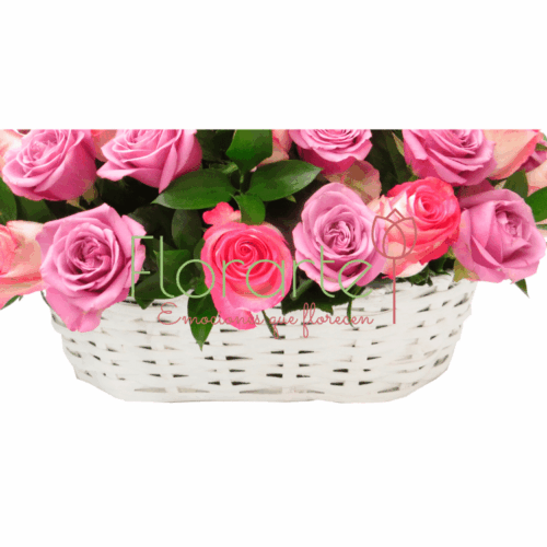 Arreglo Tierna Caperuza