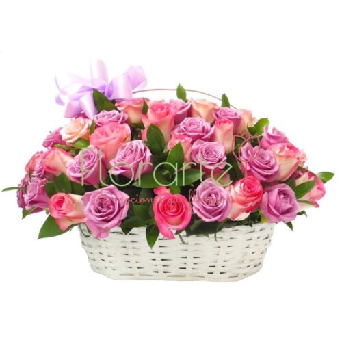 Arreglo Tierna Caperuza