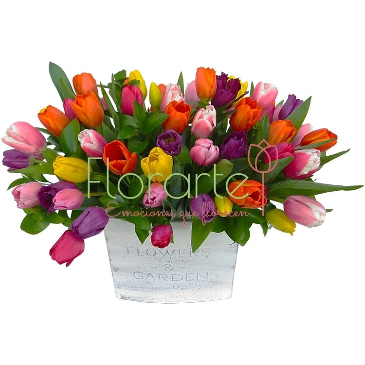 Besos de Colores