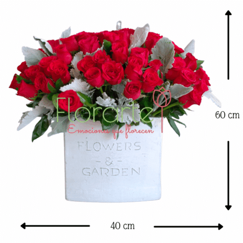 Vintage Rosal de Amor