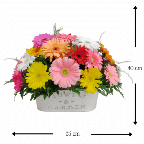 Voces de Primavera F&G